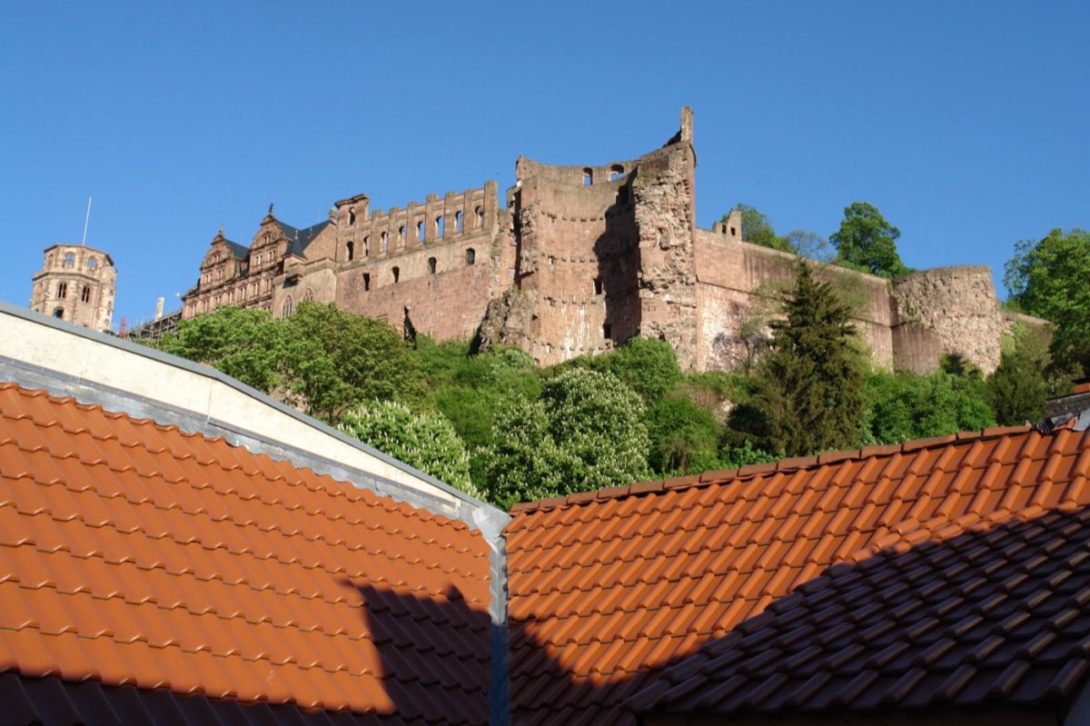 Heidelberg Castle above the red rooftops, seen from Lotte